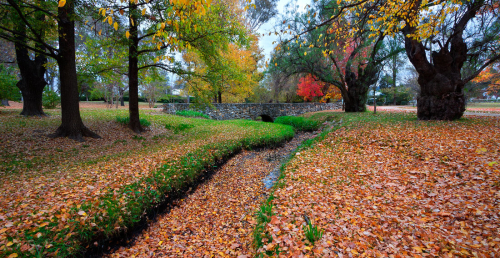 Autumn colours enhance this beautiful location in Mudgee, NSW, Australia