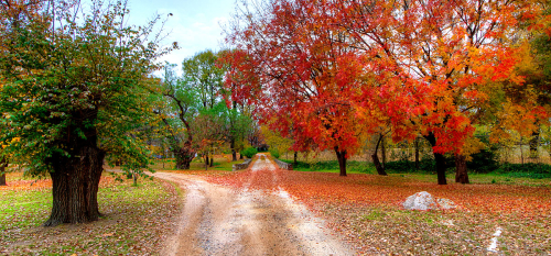Autumn in the country, leading down a path that takes two courses